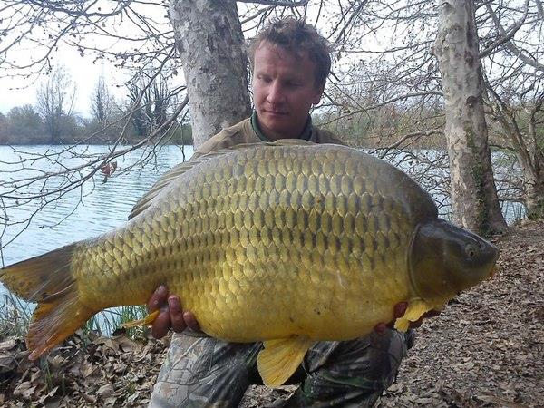 diverse adunate 2 - 5290794979289969204421590527838n.jpg